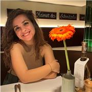 Inglese, italiano, storia, stiria dell'arte, spagnolo,tecnologia, scienze,matematica, geografia